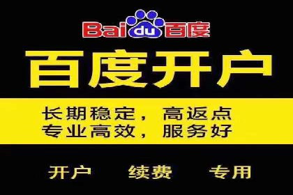 如何在有限预算下最大化百度推广费用的效果——案例解读